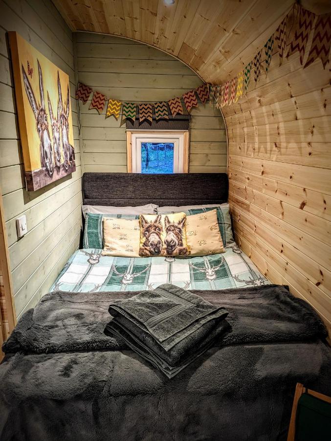 Emlyn'S Coppice - Luxury Woodland Glamping Villa Holywell  Dış mekan fotoğraf
