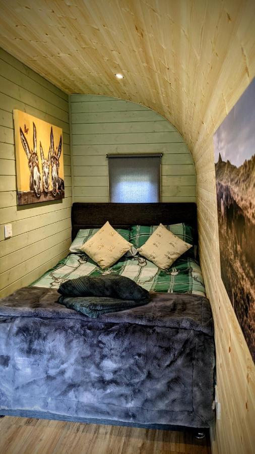 Emlyn'S Coppice - Luxury Woodland Glamping Villa Holywell  Dış mekan fotoğraf
