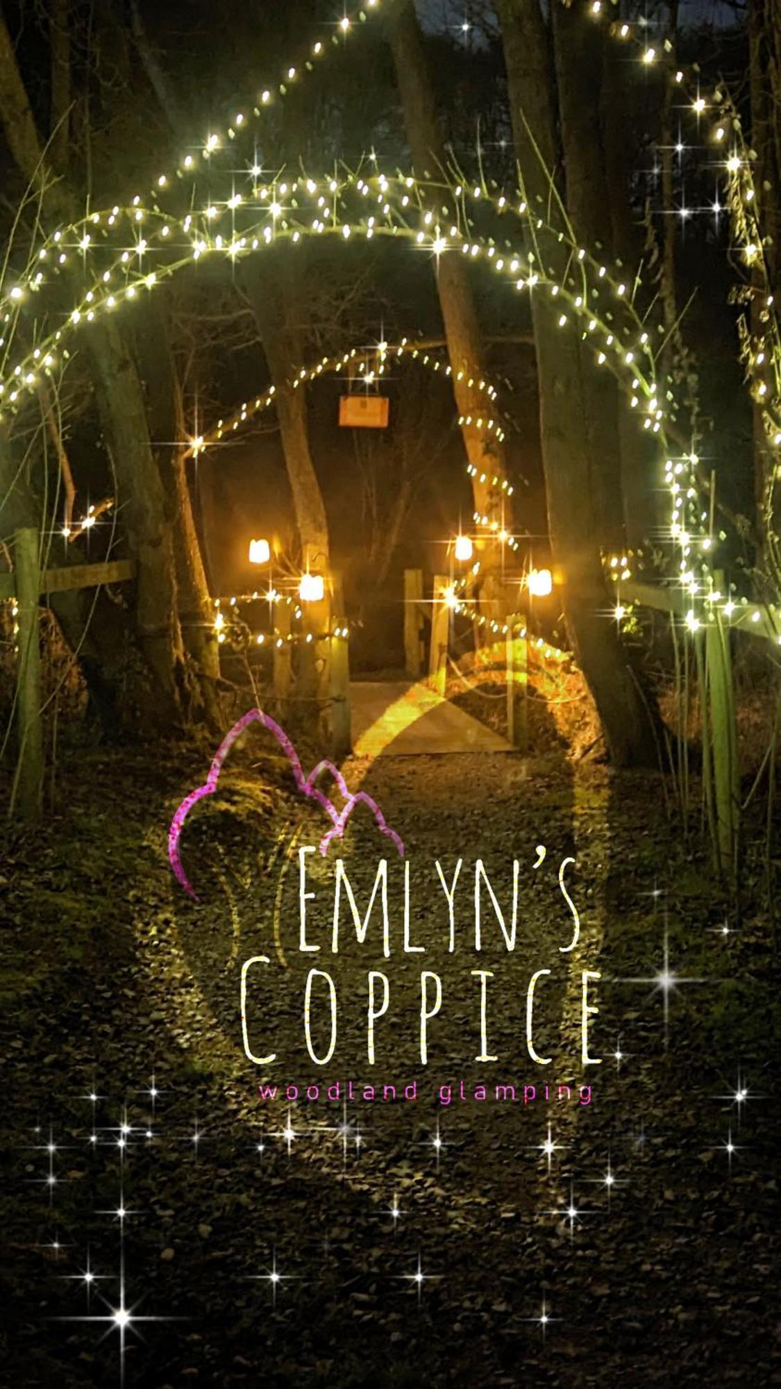 Emlyn'S Coppice - Luxury Woodland Glamping Villa Holywell  Dış mekan fotoğraf